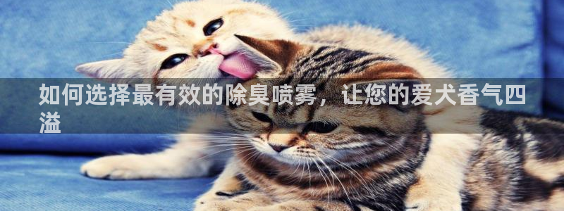 尊龙凯时产品系列