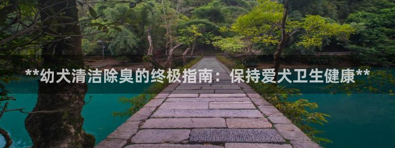 尊龙长相评价