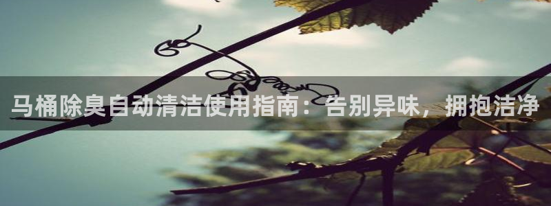 尊龙AG旗舰店