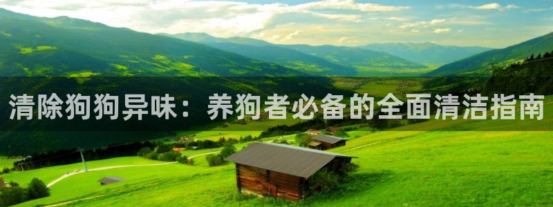ag旗舰平台尊龙代言