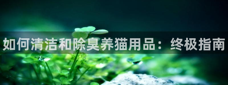 尊龙人生就是博d88 - Z6尊龙官方网站
