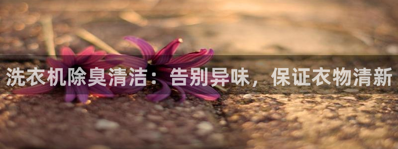 尊龙凯时始人生就是博