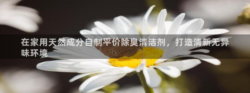 尊龙官网注册