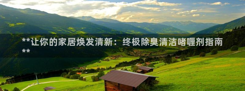 尊龙app下载官网：**让你的家居焕发清新：终极除臭清洁