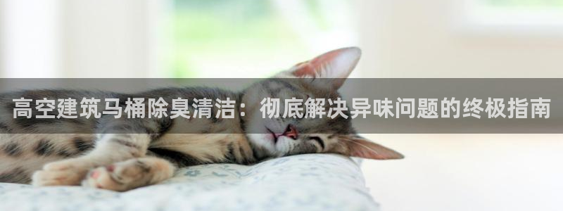 尊龙凯时ag旗舰厅