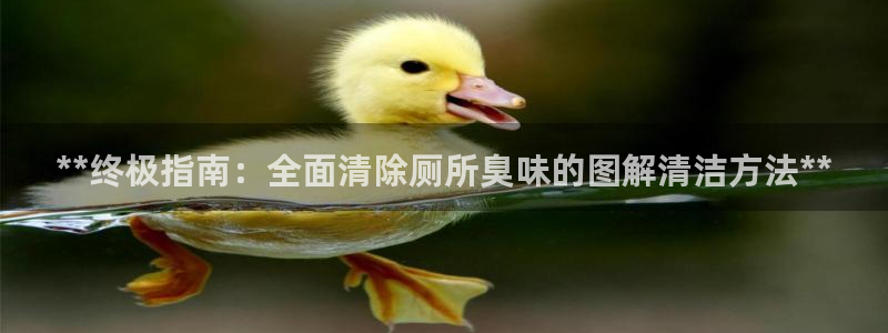 尊龙官网网页版