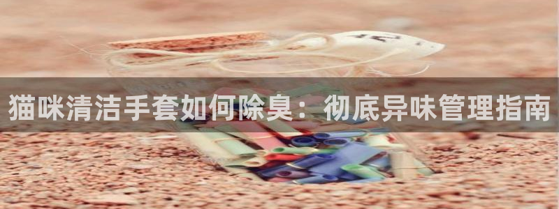 尊龙官网免费下载安装