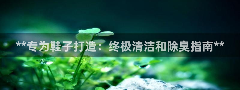 尊龙官网手