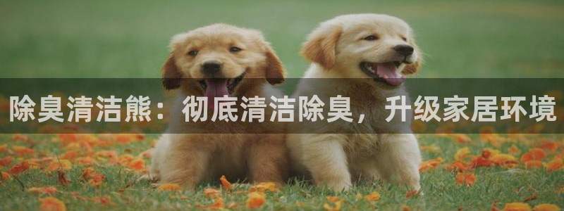 凯时登录