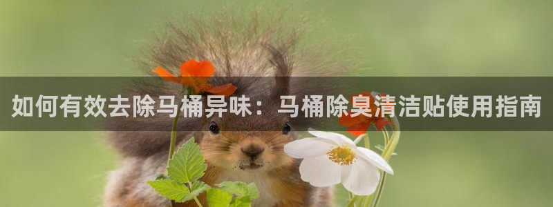 KB88凯时官网