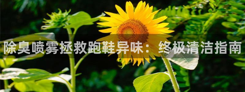 尊龙贴吧