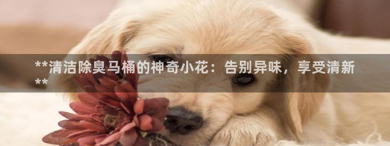 凯时赢来就送38