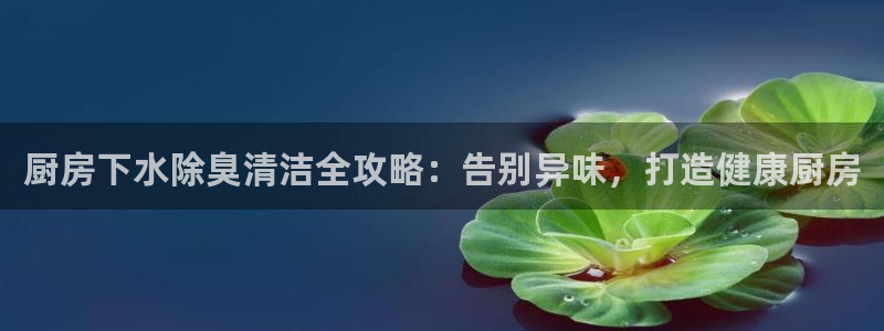 尊龙集团有限公司地址：厨房下水除臭清洁全攻略：告别异味，