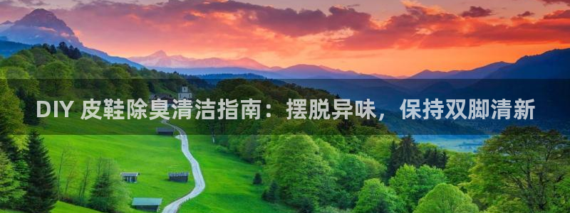 尊龙官网国际