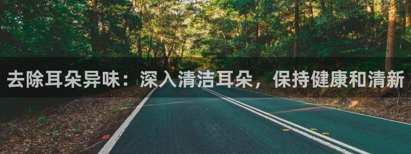 尊龙凯时发展历程