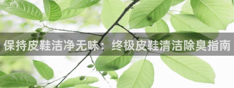 尊龙网站注册站注册：保持皮鞋洁净无味：终极皮鞋清洁除臭指