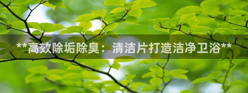 尊龙人生就是博i可靠吗