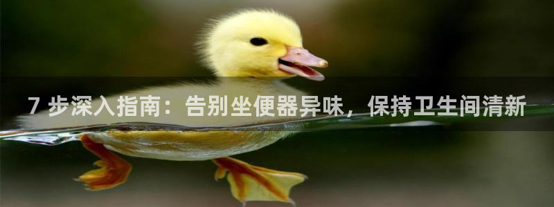 尊龙旗舰厅