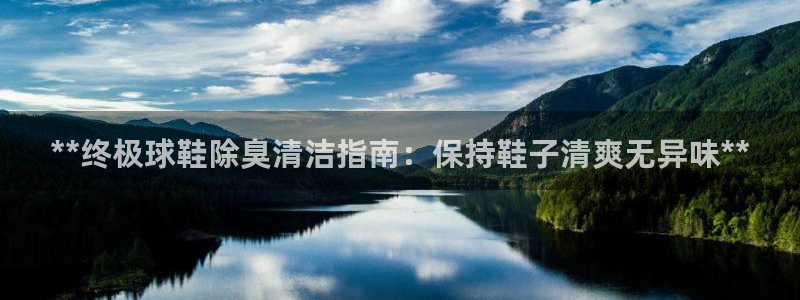 尊龙凯时平台入口：**终极球鞋除臭清洁指南：保持鞋子清爽
