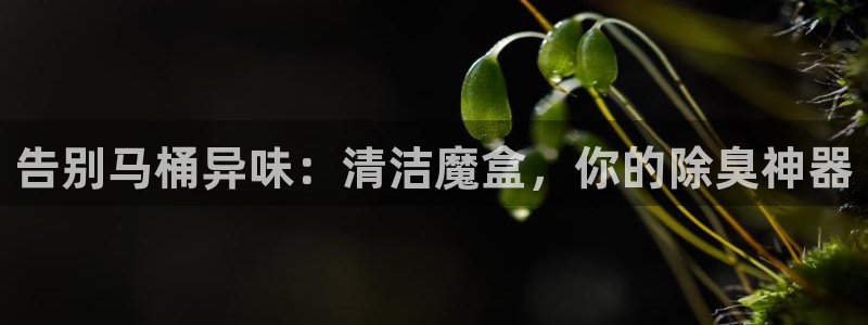 凯时国际app首页登录入口：告别马桶异味：清洁魔盒，你的
