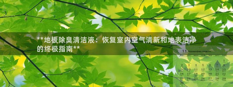 尊龙登录：**地板除臭清洁液：恢复室内空气清新和地表洁净