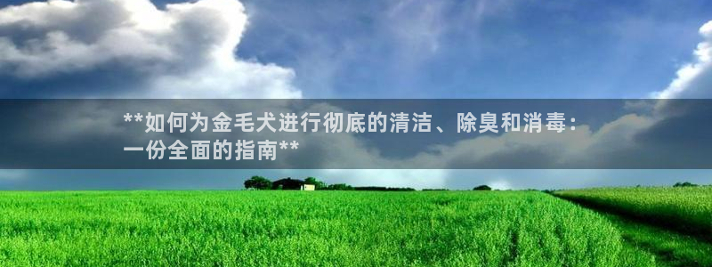 尊龙2021年最新消息：**如何为金毛犬进行彻底的清洁、