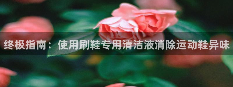 尊龙网站下分慢：终极指南：使用刷鞋专用清洁液消除运动鞋异