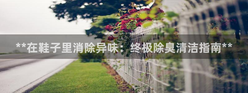 尊龙凯时百万奖池：**在鞋子里消除异味：终极除臭清洁指南