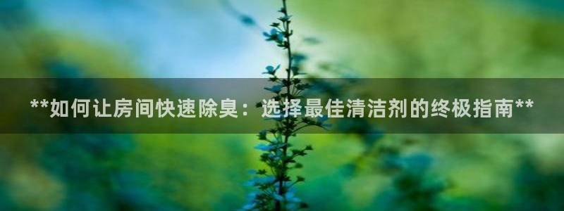 尊龙凯时电竞注册：**如何让房间快速除臭：选择最佳清洁剂