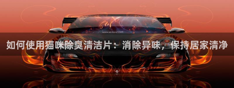 尊龙凯时取钱很慢：如何使用猫咪除臭清洁片：消除异味，保持