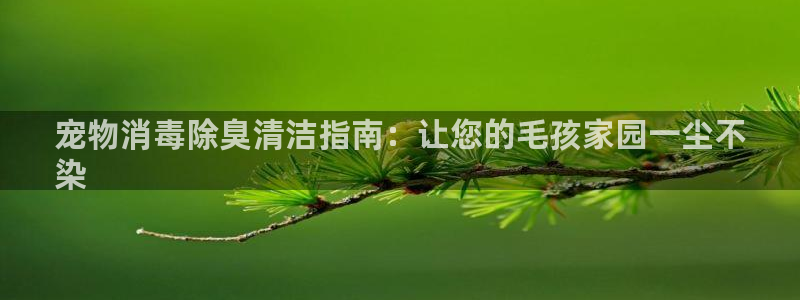 尊龙官方app下载：宠物消毒除臭清洁指南：让您的毛孩家园