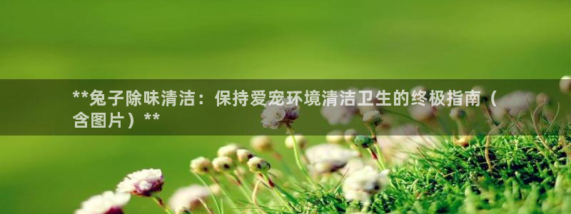 尊龙光学怎么样：**兔子除味清洁：保持爱宠环境清洁卫生的