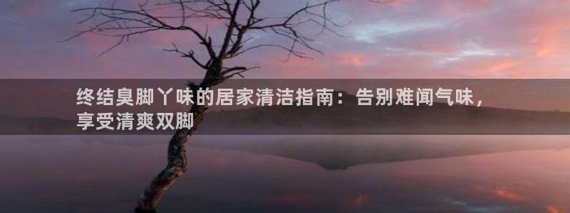 尊龙凯时人生就是搏 品牌专区：终结臭脚丫味的居家清洁指南