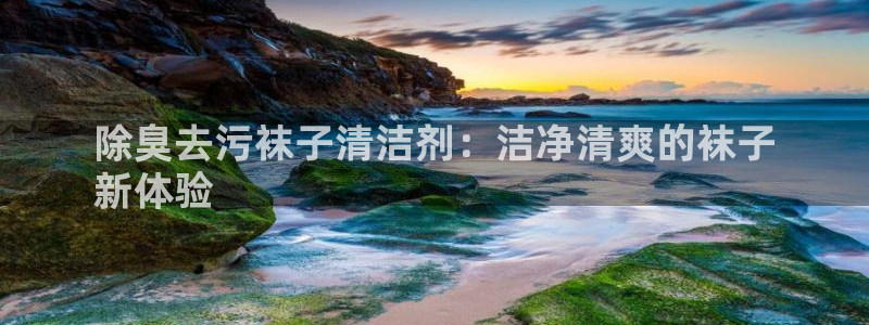 尊龙人生就是博手机版下载：除臭去污袜子清洁剂：洁净清爽的
