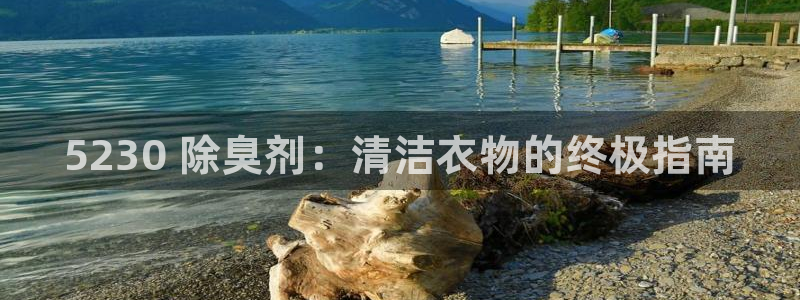 尊龙官方网站最新版V9.3.06：5230 除臭剂：清洁