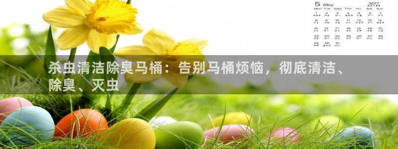 d88尊龙z6：杀虫清洁除臭马桶：告别马桶烦恼，彻底清洁