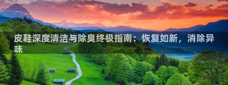 尊龙凯时d3563：皮鞋深度清洁与除臭终极指南：恢复如新