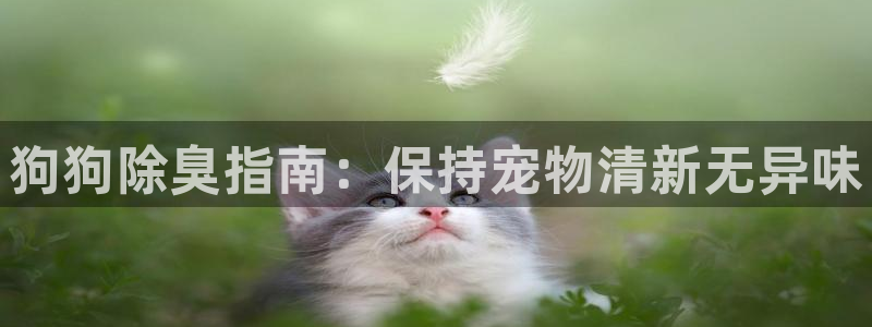 凯时尊龙官网网址