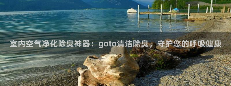 尊龙凯时人生就是搏!官网：室内空气净化除臭神器：goto