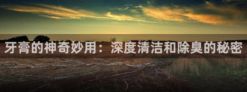 尊龙d88官网登录下载：牙膏的神奇妙用：深度清洁和除臭的