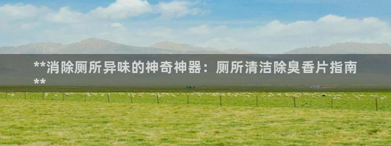 凯时app官方首页：**消除厕所异味的神奇神器：厕所清洁