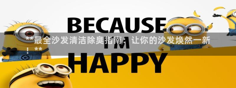 尊龙凯时充值不到账：**最全沙发清洁除臭指南：让你的沙发