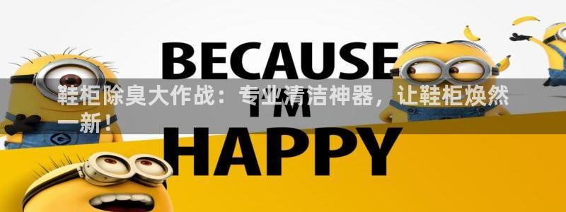 尊龙凯时网站不让提款：鞋柜除臭大作战：专业清洁神器，让鞋