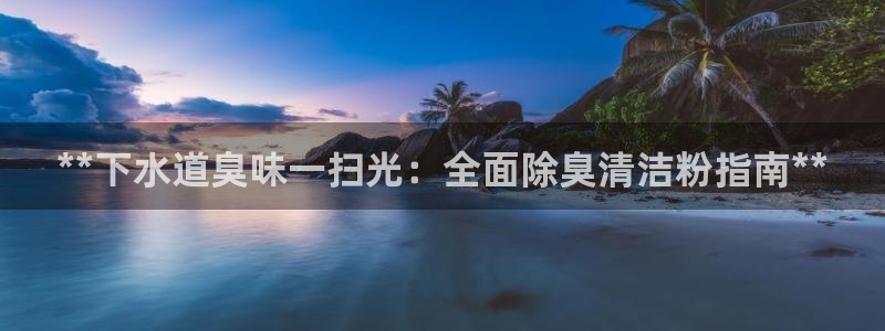 尊龙凯时人生就博：**下水道臭味一扫光：全面除臭清洁粉指