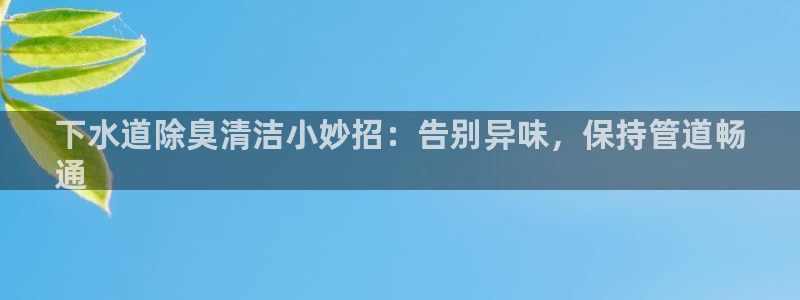 尊龙手机版下载：下水道除臭清洁小妙招：告别异味，保持管道