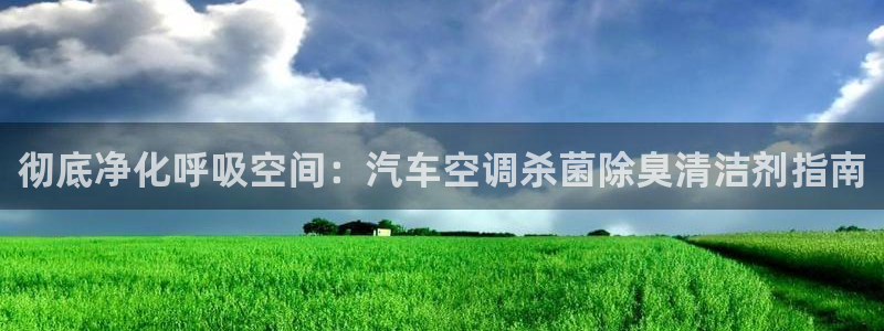 尊龙凯时返现：彻底净化呼吸空间：汽车空调杀菌除臭清洁剂指