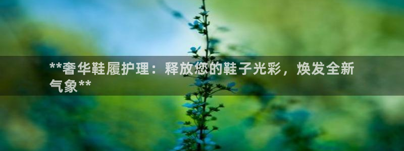 凯时国际娱乐官方网址：**奢华鞋履护理：释放您的鞋子光彩