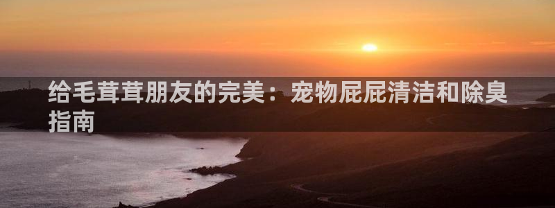 尊龙凯时取款有要求吗：给毛茸茸朋友的完美：宠物屁屁清洁和