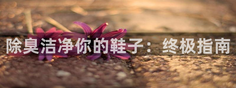 尊龙手机版下载：除臭洁净你的鞋子：终极指南
