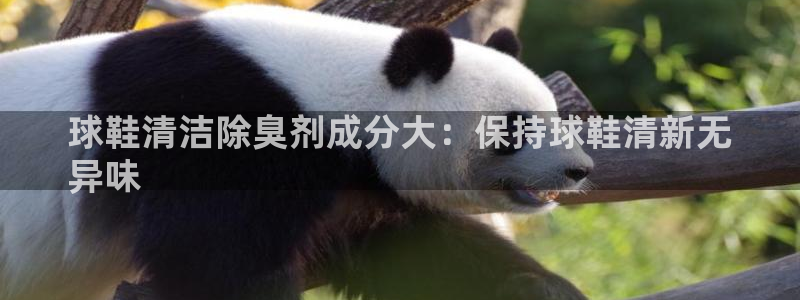 尊龙人生就要博旧版：球鞋清洁除臭剂成分大：保持球鞋清新无